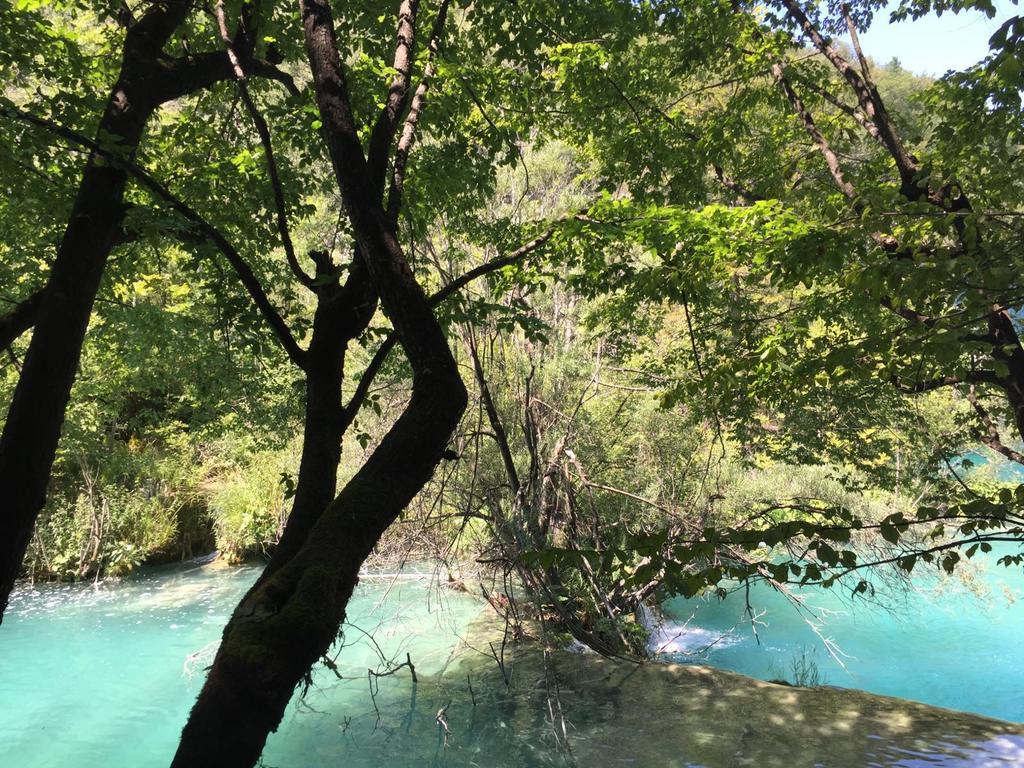 Pool Apartments Plitvice Lakes Grabovac  Exterior photo